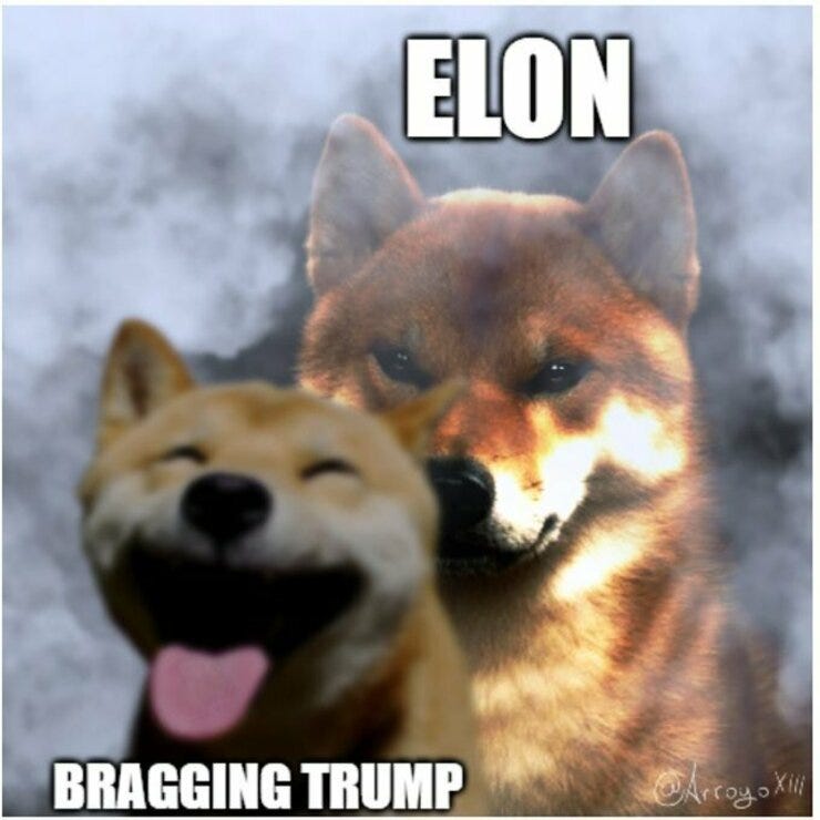 However staged it may be, the Elon-Trump throwdown has been as entertaining as any episode of The Sopranos or Monday Night Raw
