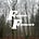 Folklore Fieldwork