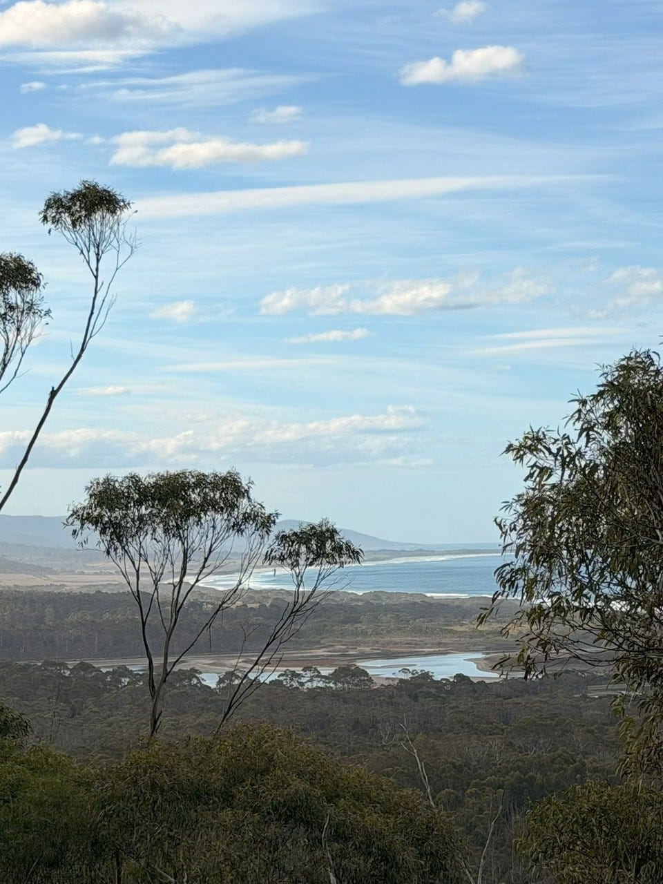 Expansive Tasmanian landscape with open space and minimal visual noise. Expansive Tasmanian landscape with open space and minimal visual noise.