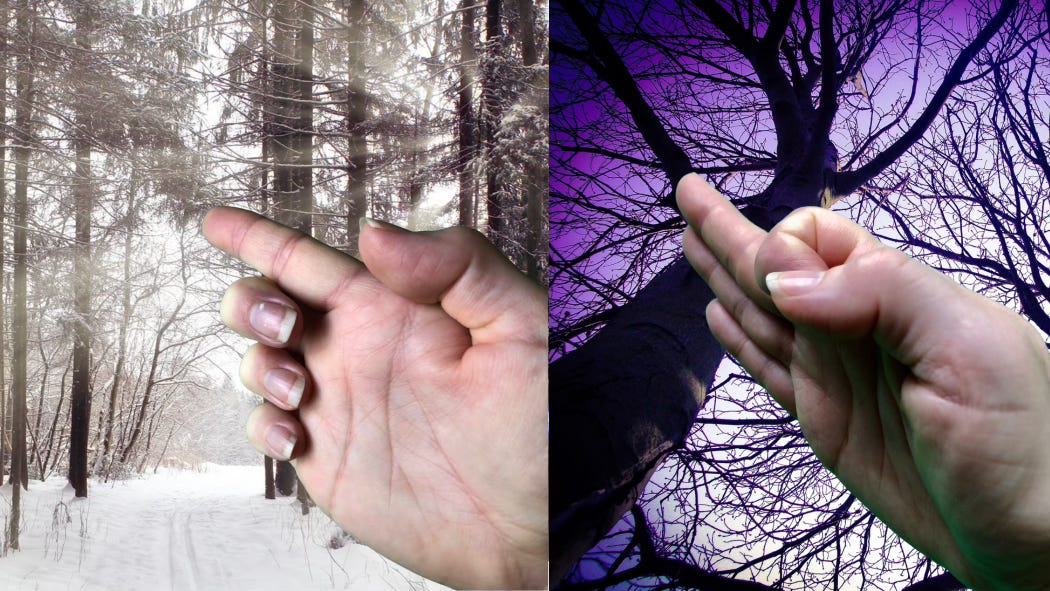 Two different hand positions: forefinger extended with all other fingers curled back against a snowy forest backdrop. Forefinger pinned down by thumb with all fingers jutting forward against dark trees silhouetted against a sky fading to deepest purple. Two different hand positions: forefinger extended with all other fingers curled back against a snowy forest backdrop. Forefinger pinned down by thumb with all fingers jutting forward against dark trees silhouetted against a sky fading to deepest purple.