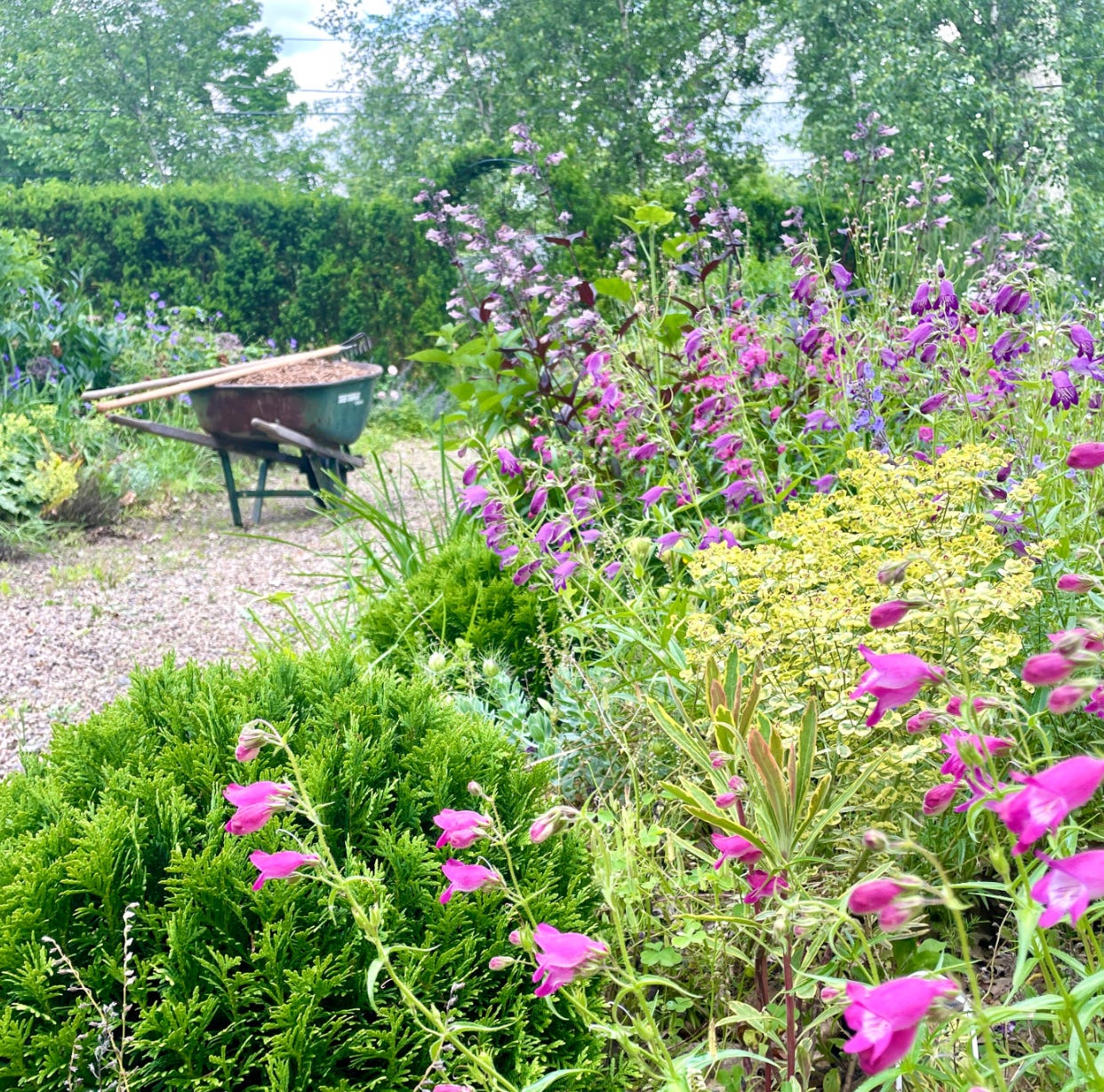 Havenwood Cottage Garden, which is featured in the Building a Border Backwards class