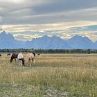 Teton Pass, Wyoming