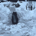 Laissez Les Bons Temps Rouler! Tabs, Mardi Gras, Tues., Feb. 17, 2016