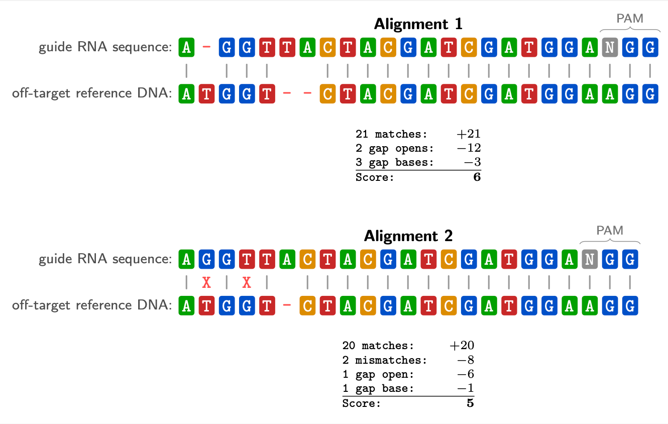 Two sequence alignments of the same guide RNA (AGGTTACTACGATCGATGGA·N·GG, followed by a PAM) against the same off-target reference DNA (ATGGT··CTACGATCGATGGAAGG). Alignment 1 introduces a gap in the guide and two gaps in the DNA, producing 21 matches but 2 gap opens and 3 gap bases for a score of 6. Alignment 2 has no gap in the guide and one gap in the DNA, but incurs 2 mismatches; it scores 5. Alignment 1 wins on sequence similarity, but its two gap opens keep the mismatches at zero while Alignment 2's mismatches fall at specific positions that a biological scoring model might weigh differently—illustrating that the highest-scoring alignment is not necessarily the most biologically relevant one.