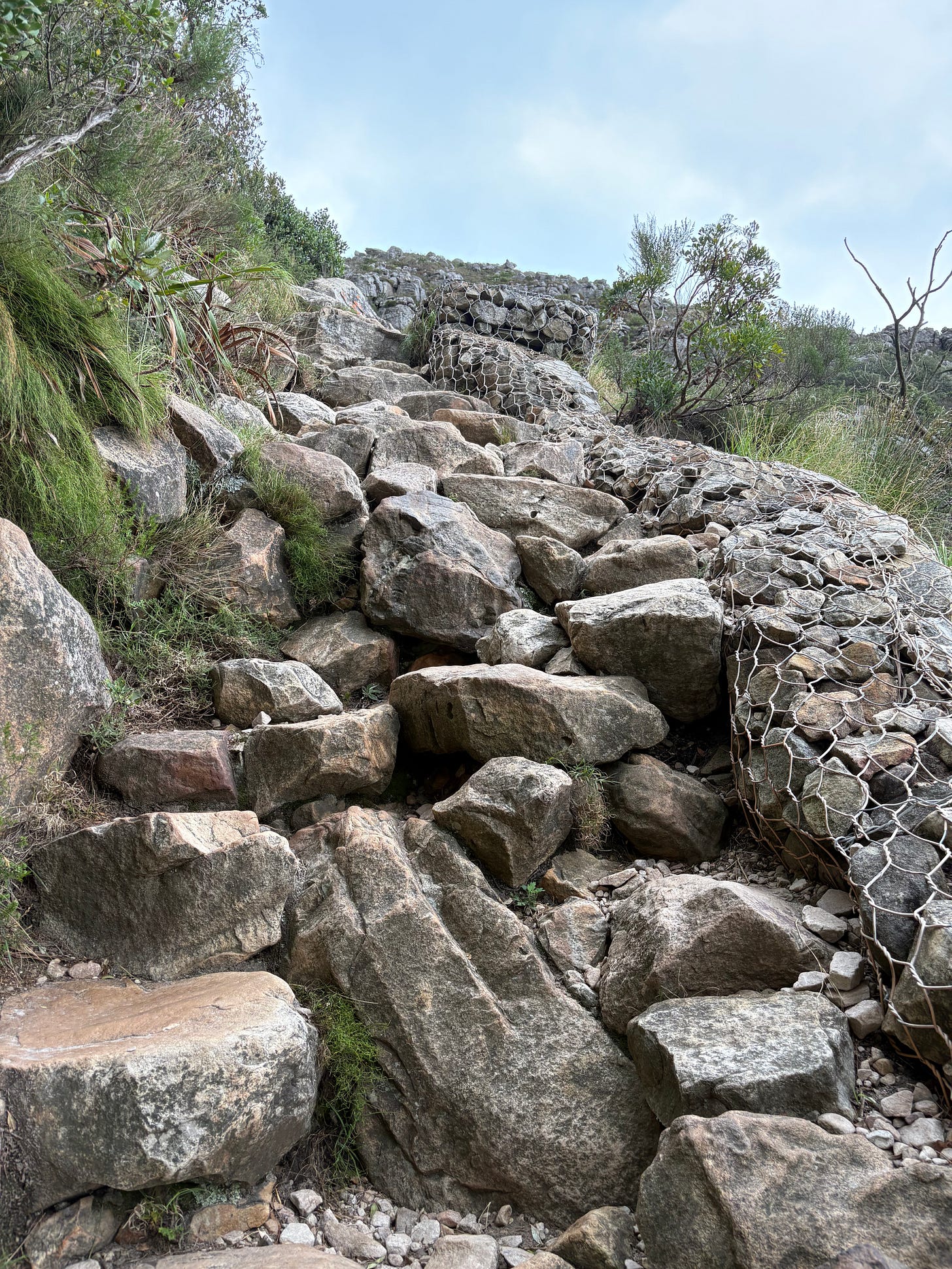The hike up Platteklip Gorge to the top of Table Mountain involves rocky steps for most of the way.
