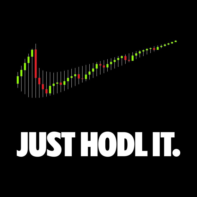 JUST HODL IT - Chris Skinner's blog