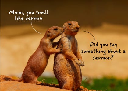 One prairie dog whispering in another prairie dog's ear. The first says "Mmm, you smell like vermin" and the second says "Did you say something about a sermon?"