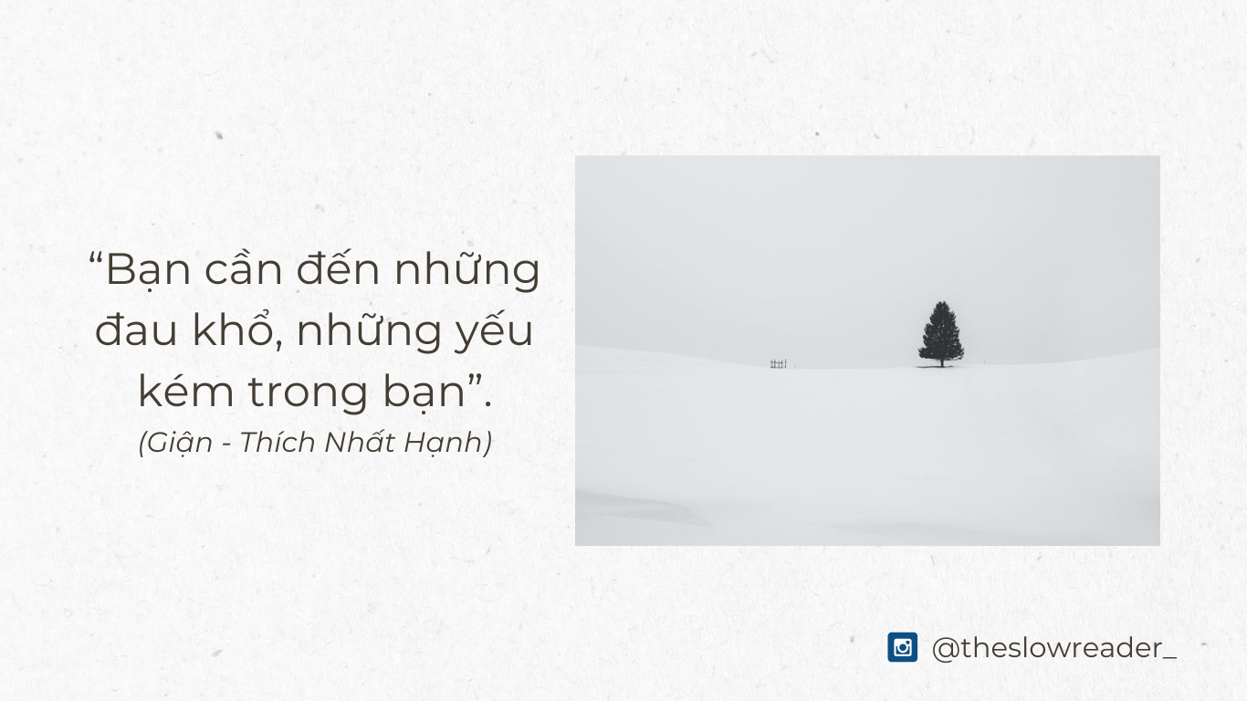 Giận Thích Nhất Hạnh 5