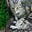Antony_Brown's avatar