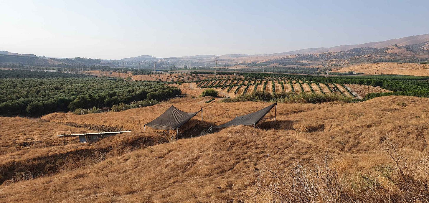 Ubeidiya site in foreground with covered excavation area and agricultural landscape and hills in background