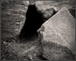 450165977_e5ed7a3617