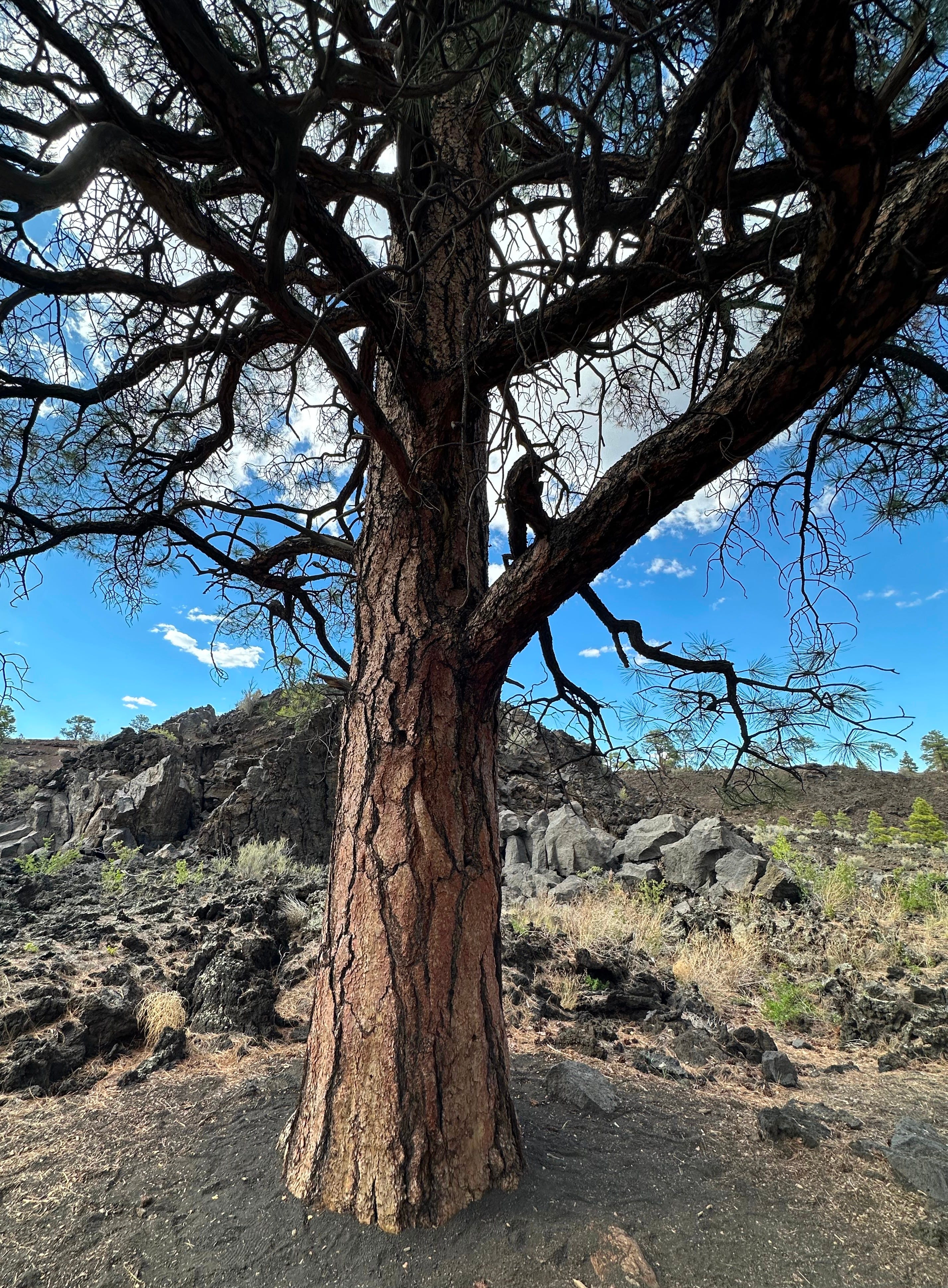 An Afternoon at Sunset Crater - by Emese-Réka Fromm
