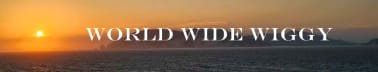 World Wide Wiggy