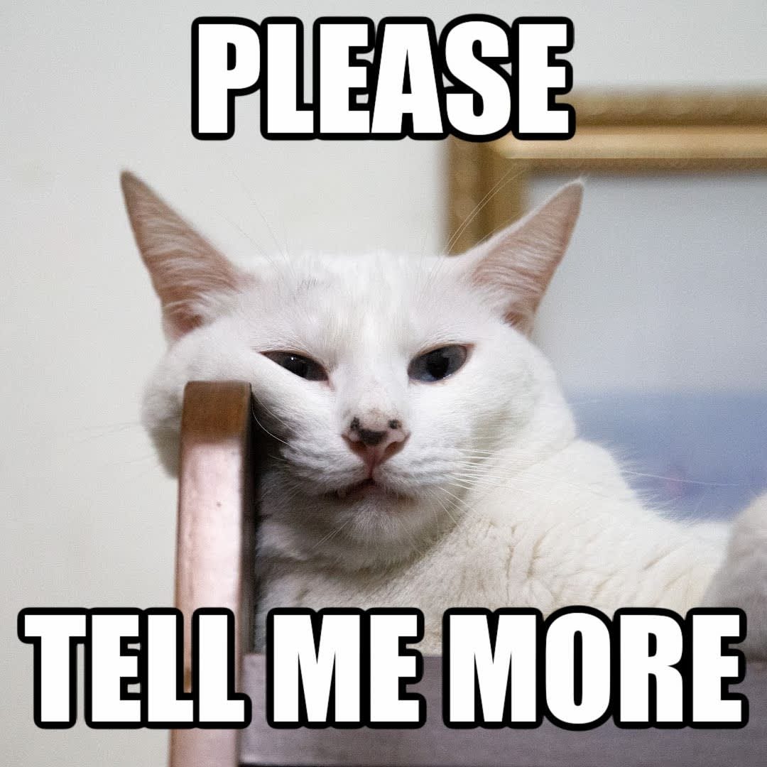 Meme ideas & Tips for Making Hilarious Memes | PicMonkey