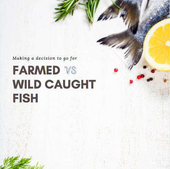 fish fish