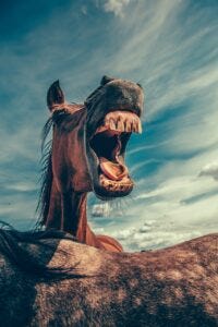 Improve your life, brush and floss, life tips