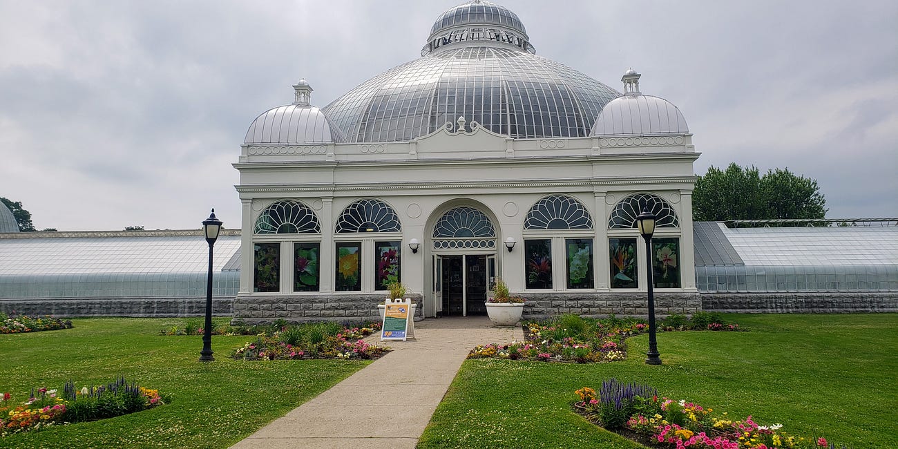 We're Going In: The Botanical Gardens' Butterfly Experience