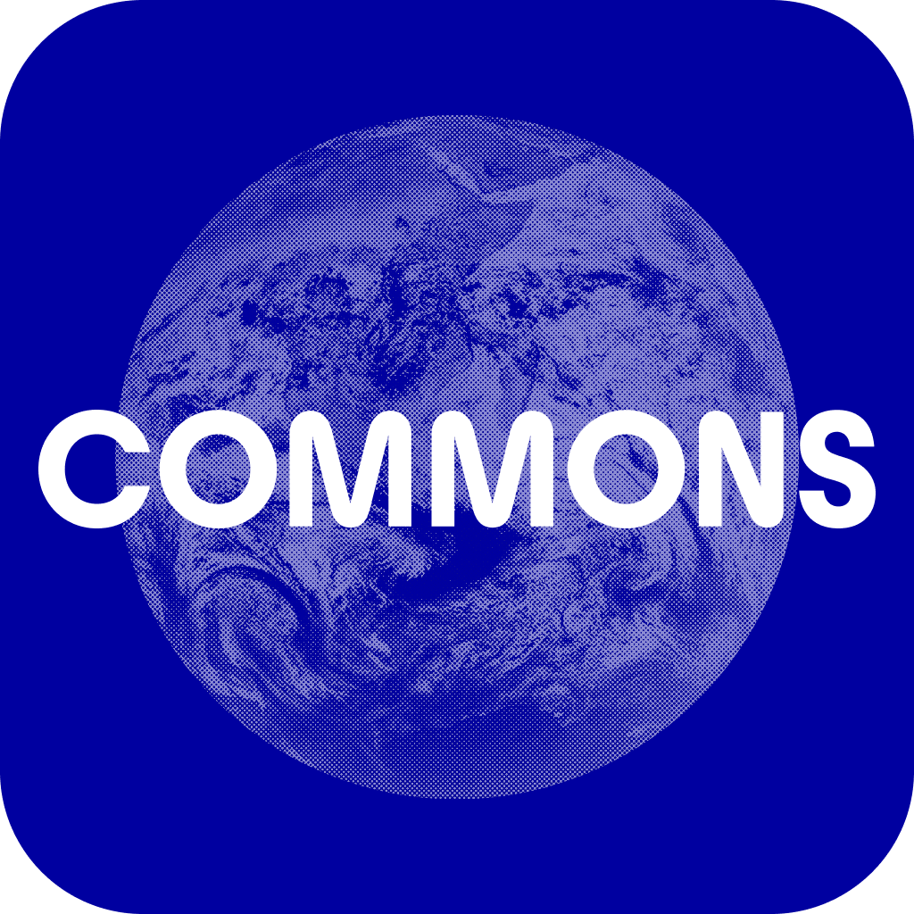 Carbon Intuition logo