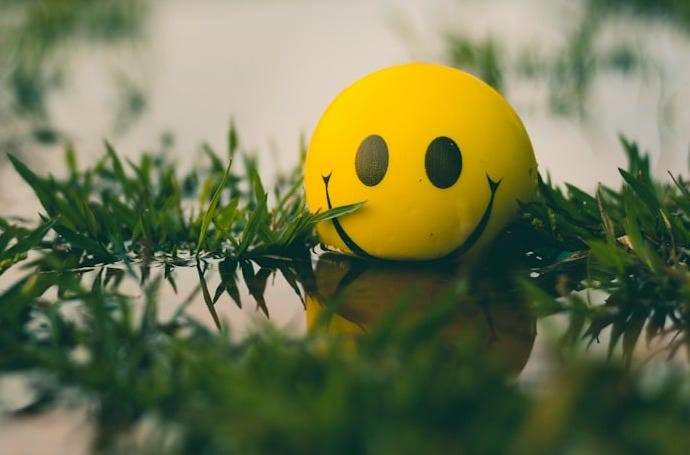 a yellow ball with a smiley face sitting in the grass a yellow ball with a smiley face sitting in the grass