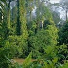 CO2: it's the things we don't get told that matter most