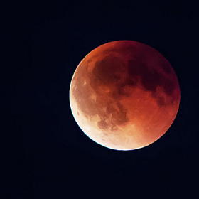 Where are the morons, now?