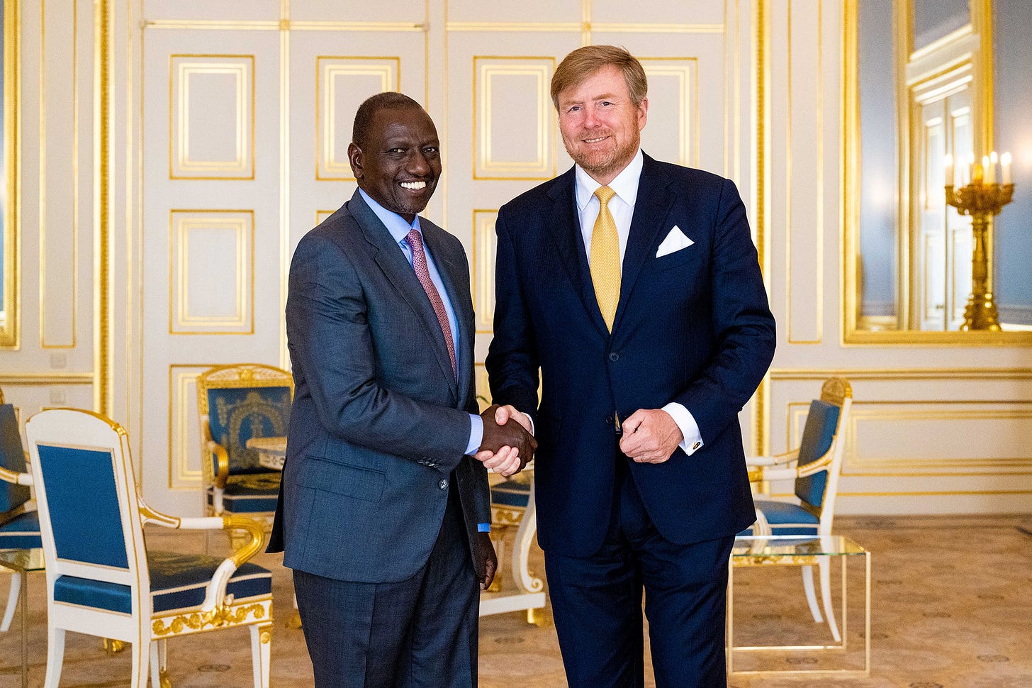 Willem-Alexander, Brics