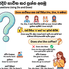 11: Asking "Yes/No" Questions (Do / Does භාවිතයෙන් ප්‍රශ්න ඇසීම)