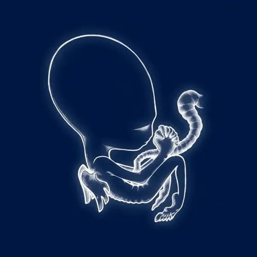 Cover art for Ágætis byrjun by Sigur Rós