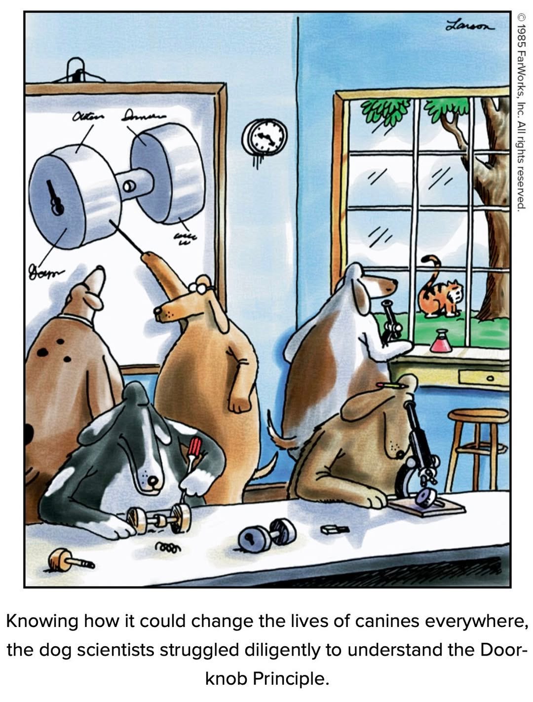 No photo description available.