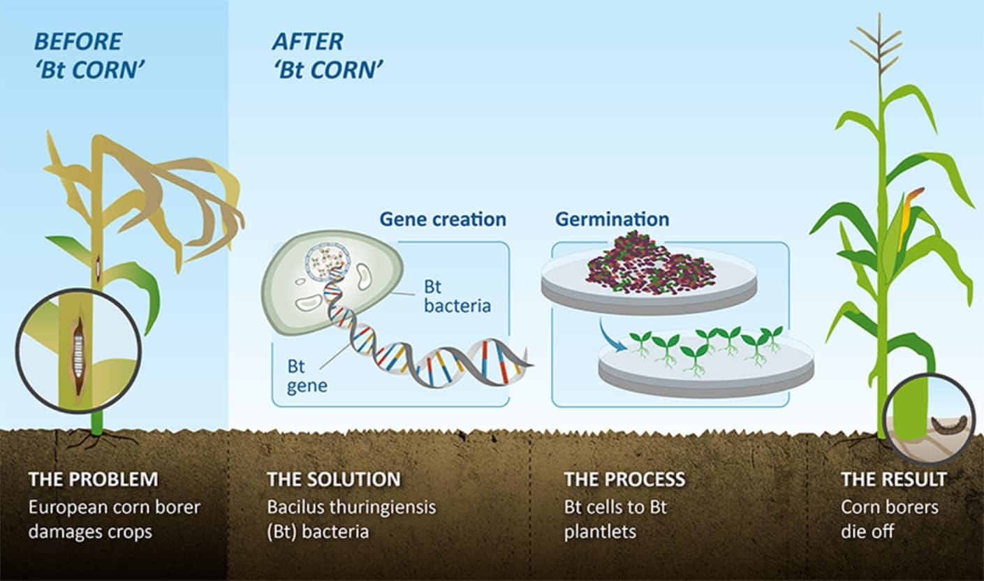 Genetically Modified Corn Seed - FTI Consulting Trial & Arbitration Support