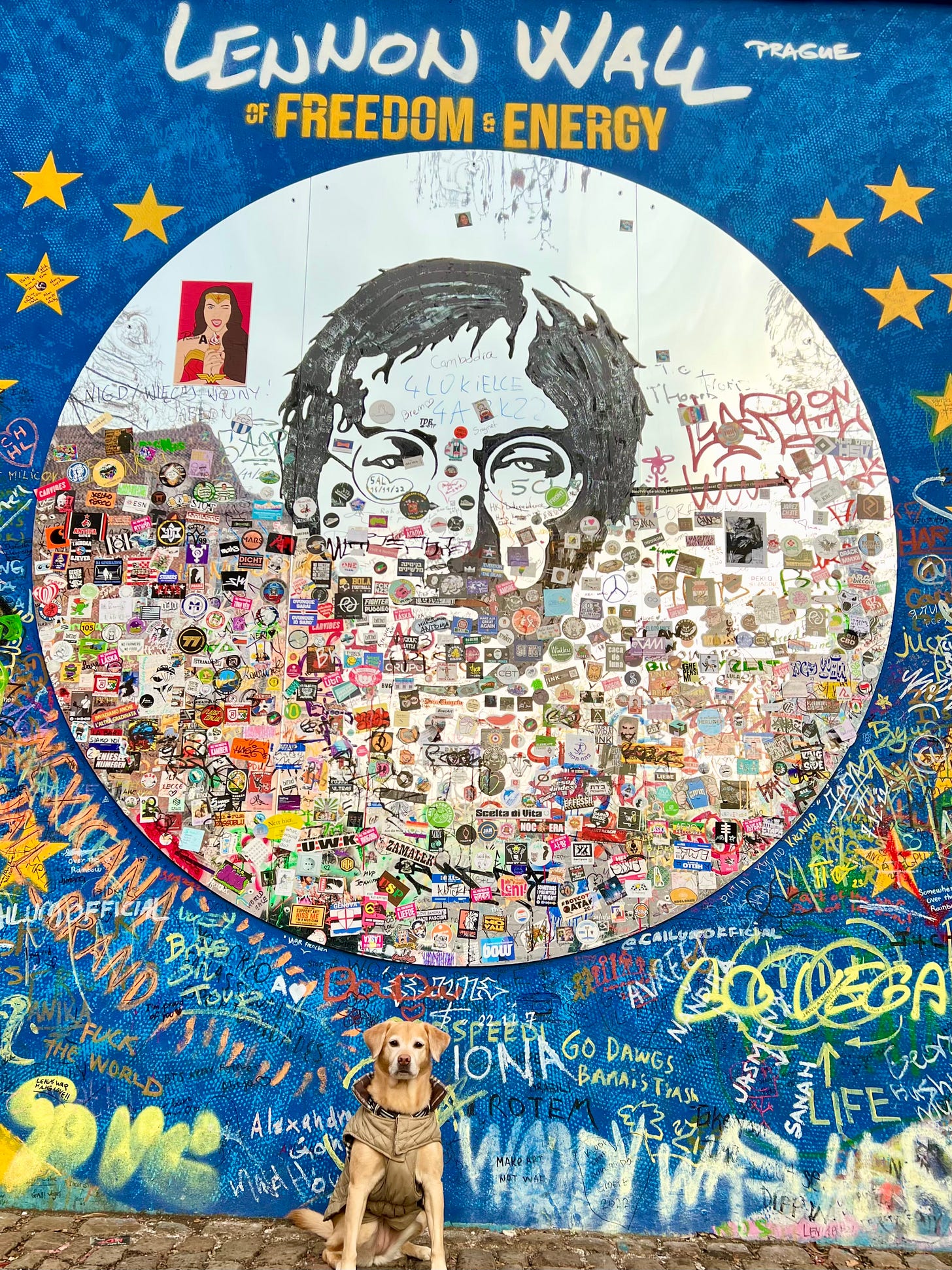 Dog in front of Lennon Wall