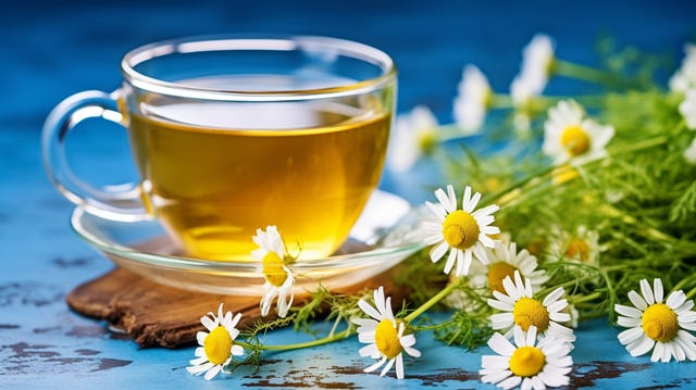 Herbal Tea With Chamomile Flowers In Teacup And Teapot, Herbal Tea With ... Herbal Tea With Chamomile Flowers In Teacup And Teapot, Herbal Tea With ...