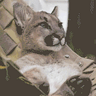 Going On Right Here, A Party, Lasting Throughout The Year. Tabs, Fri., May 31, 2024