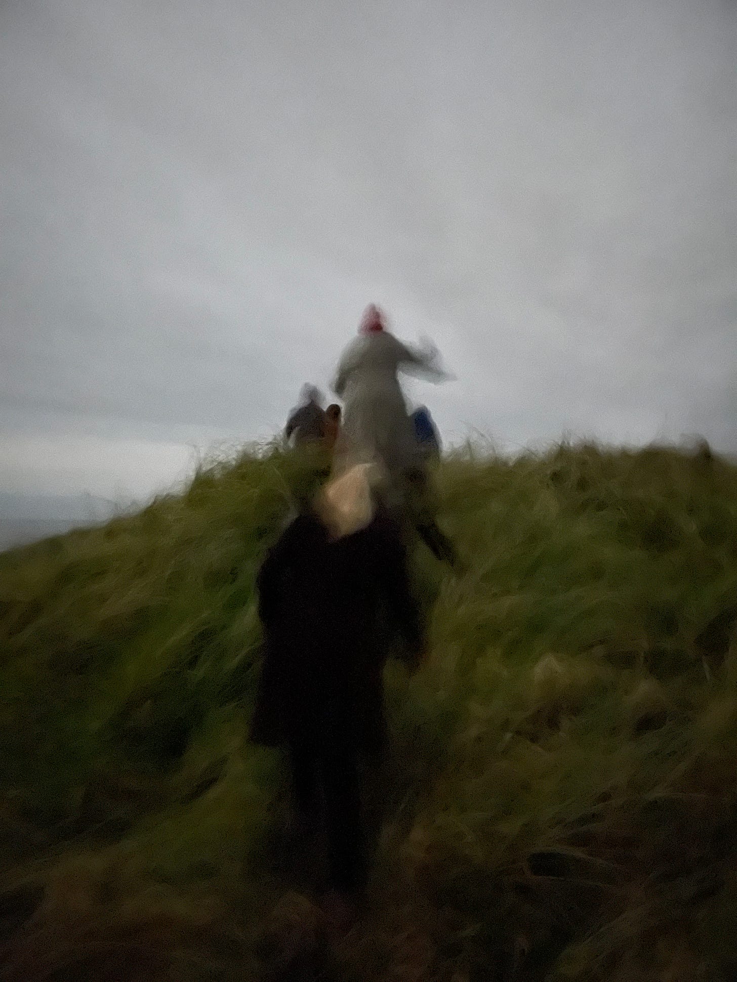 A blurry, water-color-y photograph from behind of a group of people in winter clothing walking up a hill covered in long, wavy grass as they climb up to the cloudy night sky.
