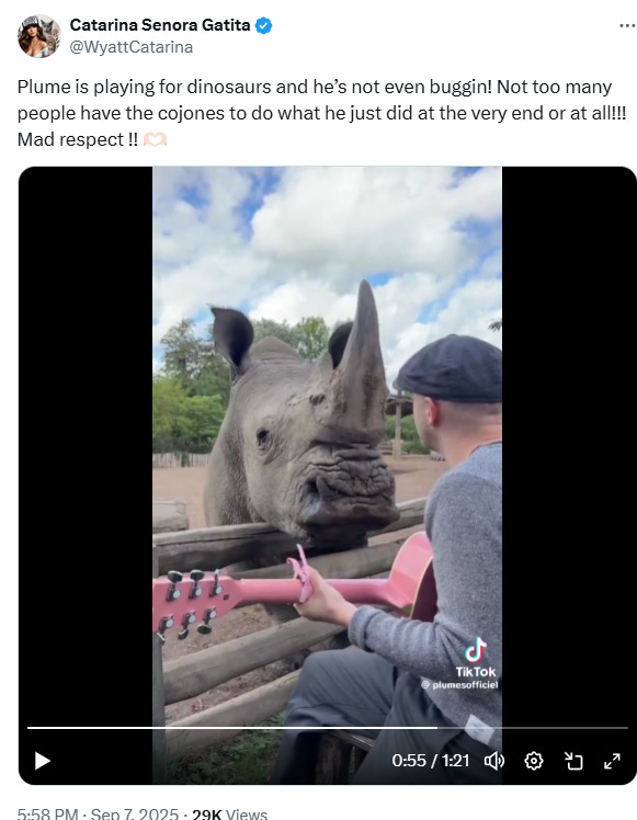 Day Brightener — Rhino Serenade “The House of the Rising Sun”