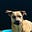 Flooble's avatar