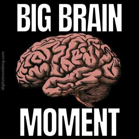 big brain moment Expanding Brain Meme, Insomnia Funny, Best Memes ...
