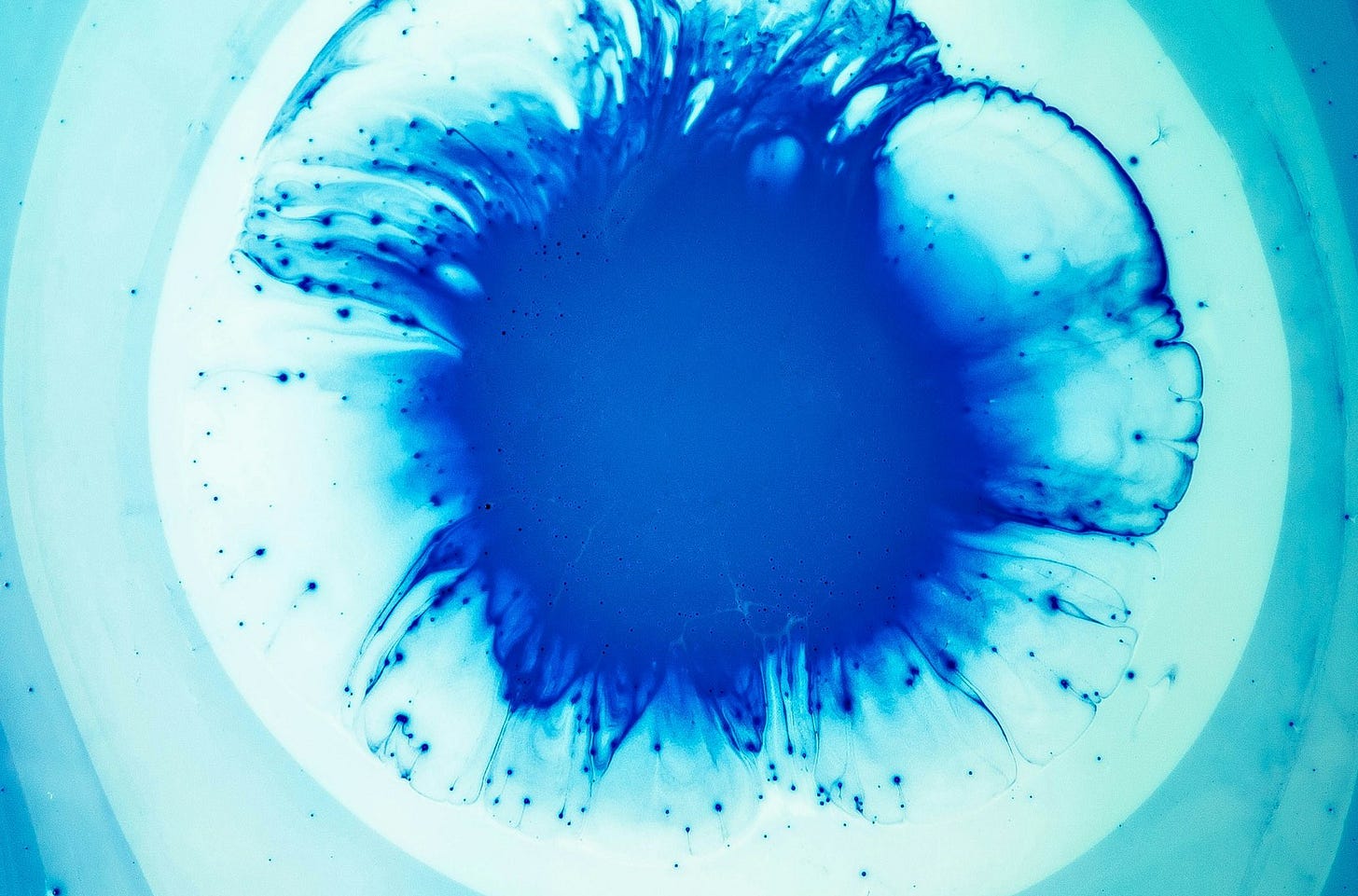 a blue substance floating in a bowl of water a blue substance floating in a bowl of water