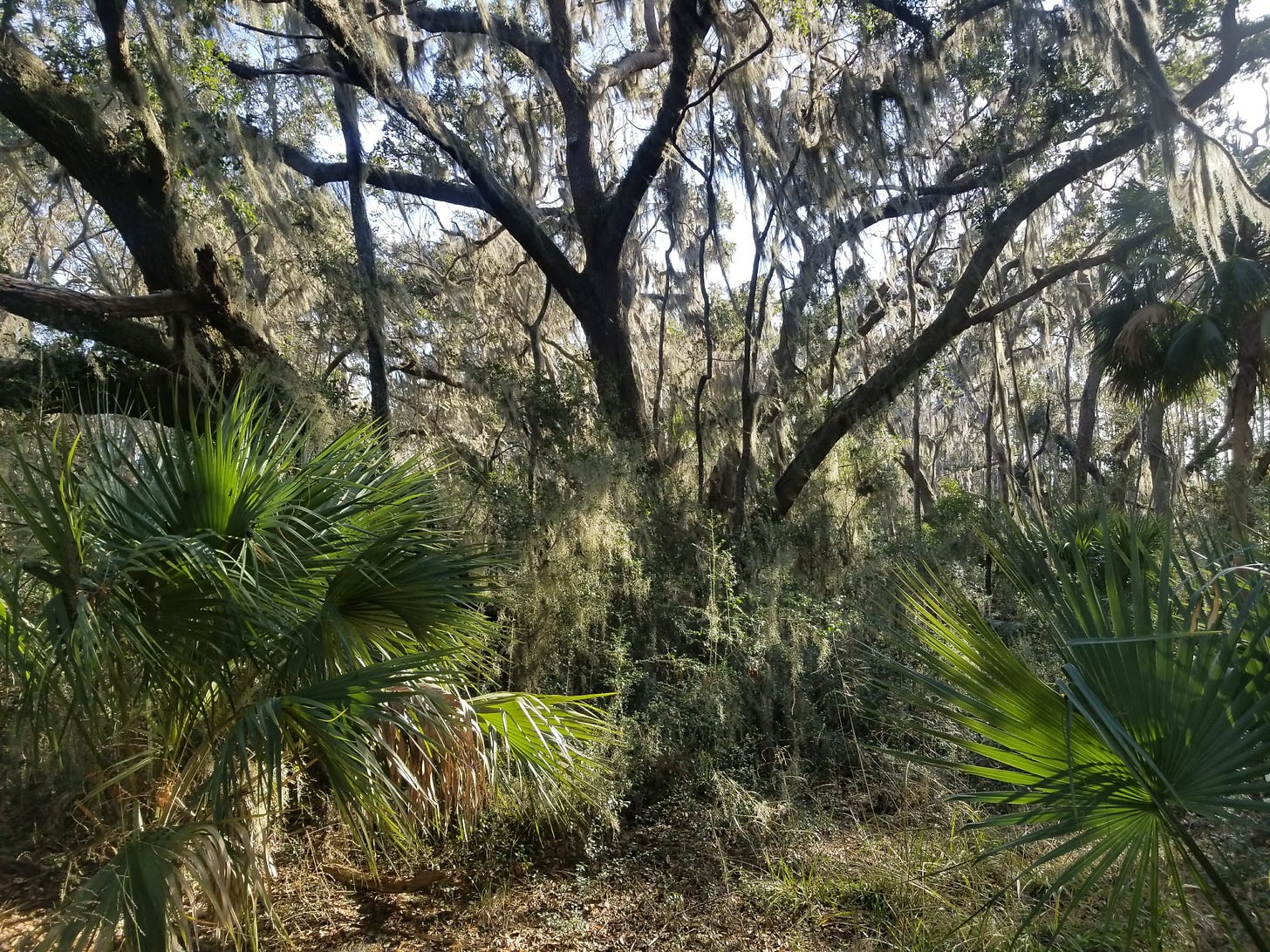 20180107_141516.jpg 20180107_141516.jpg