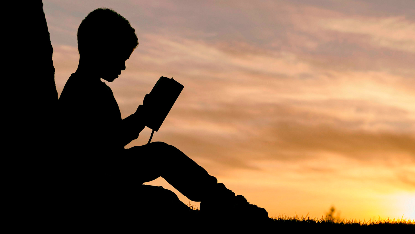 silhouette of child sitting behind tree during sunset