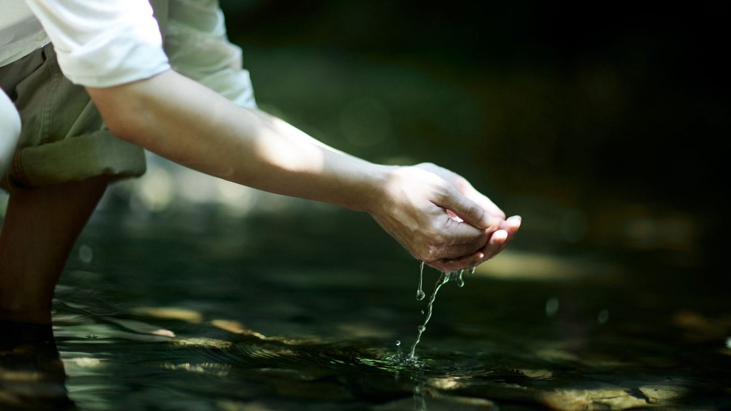 Take A Pause: Letting Go Is Letting Be | Erin Lee | Mindful Moments