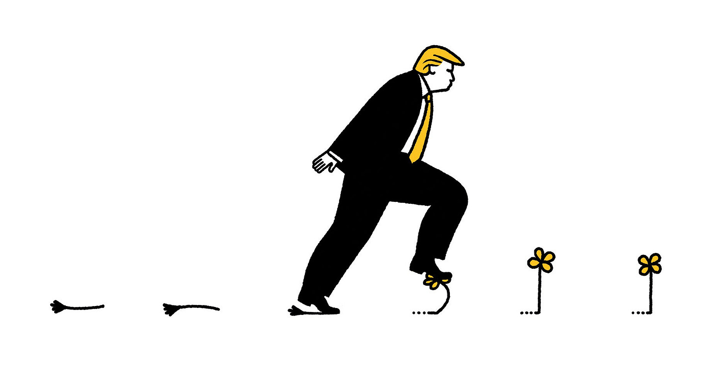Trump stepping on flowers.