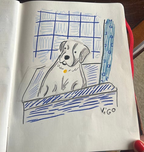 illustrations of a great pyrenees dog