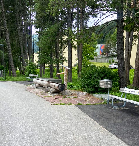 Pictures of park next to the conference center in Davos