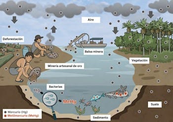 Distribution of mercury emitted to the