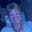 Ann Payne's avatar