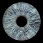 EyesOpen's avatar