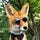 User's avatar