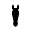 Avatar von User