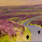 Les Brontë, ce qu’on dit, ce qu’on tait